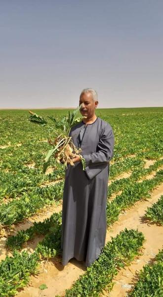 نقيب الفلاحين 