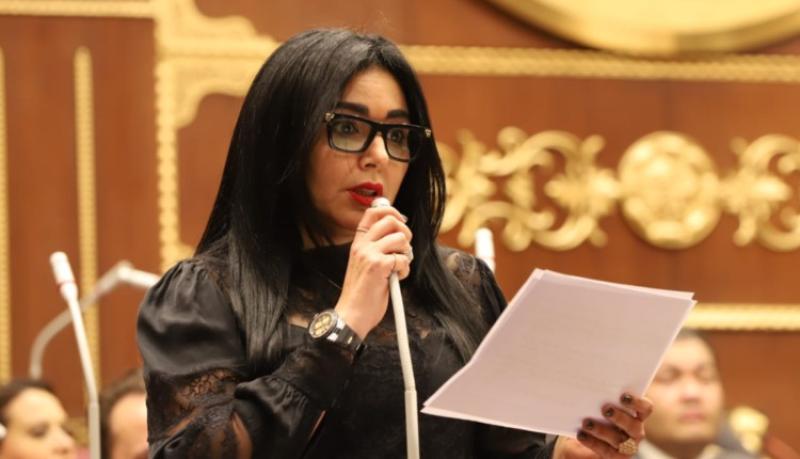 ريهام عفيفي، عضو اللجنة الاقتصادية بمجلس الشيوخ