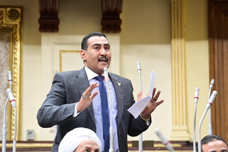 النائب محمد الجبلاوى 