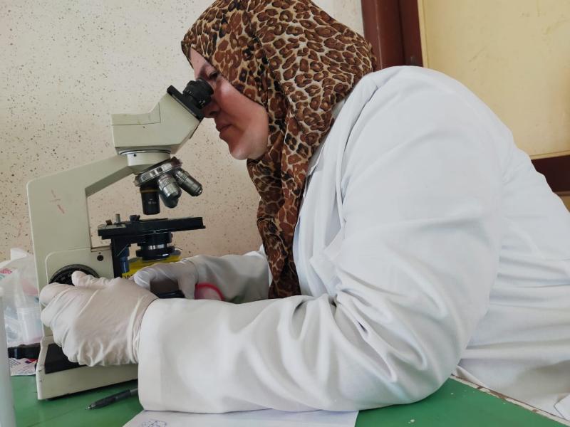 جانب من القافلة 