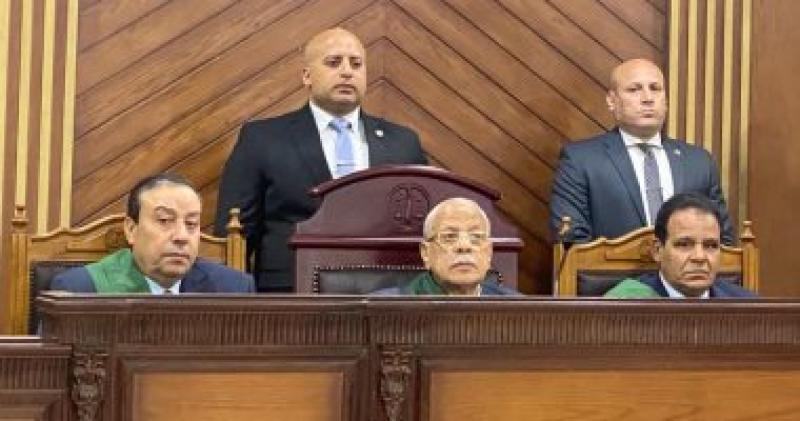 المستشار محمد حماد _أرشيفية