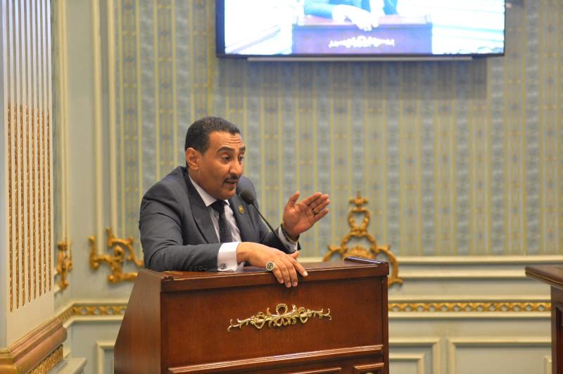 النائب محمد الجبلاوى 
