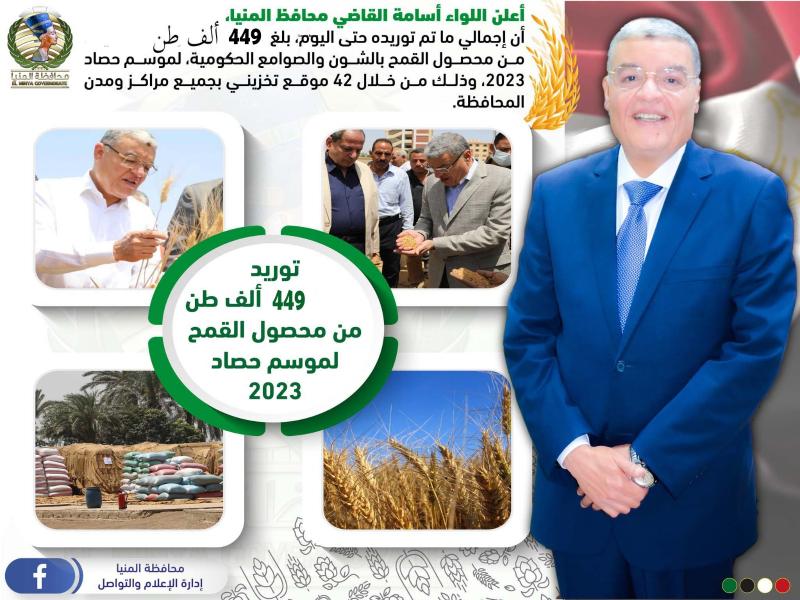 محافظ المنيا. 
