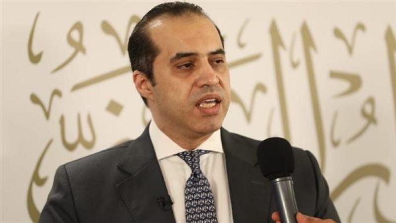 المستشار محمود فوزي 