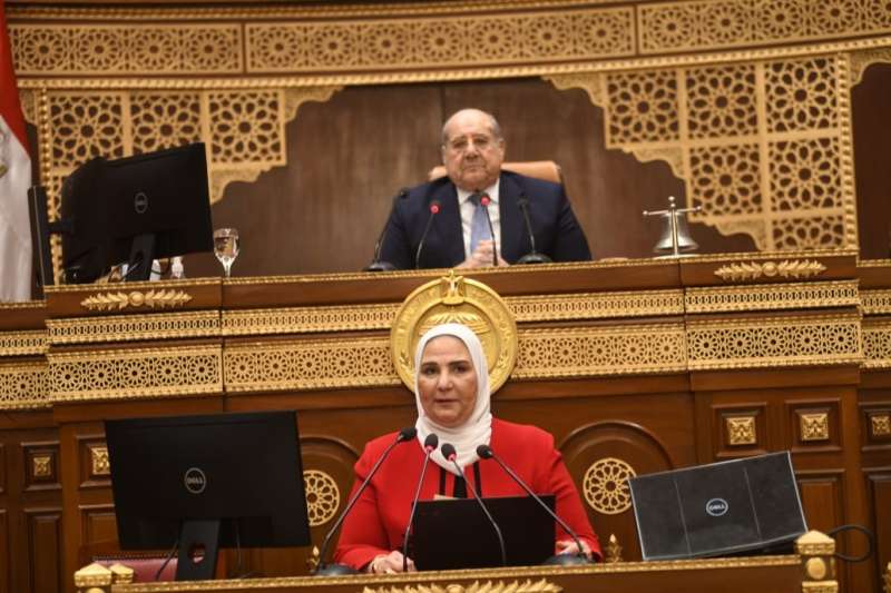 جانب من الجلسة 