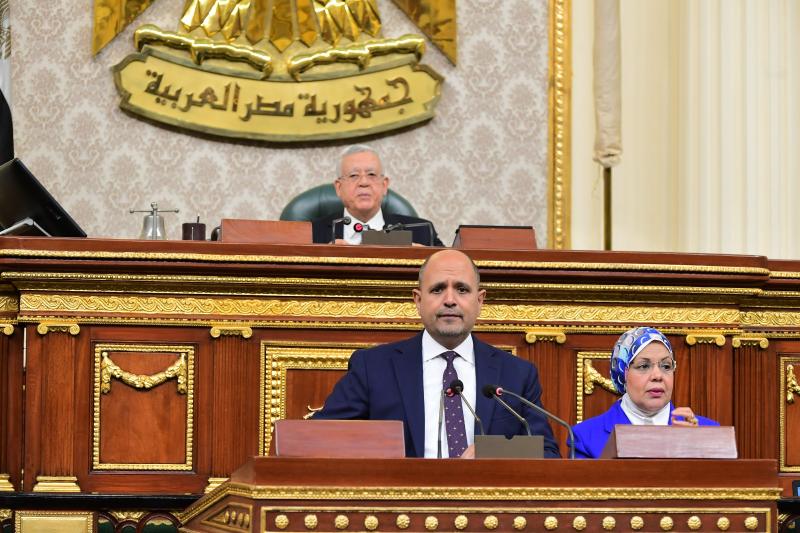 النائب محمود العزب