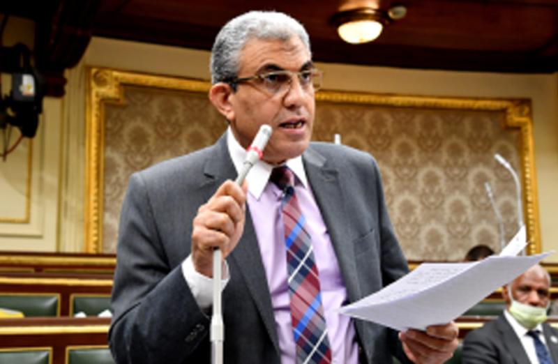 النائب عادل عبدالفضيل