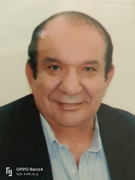 المهندس محمد عادل