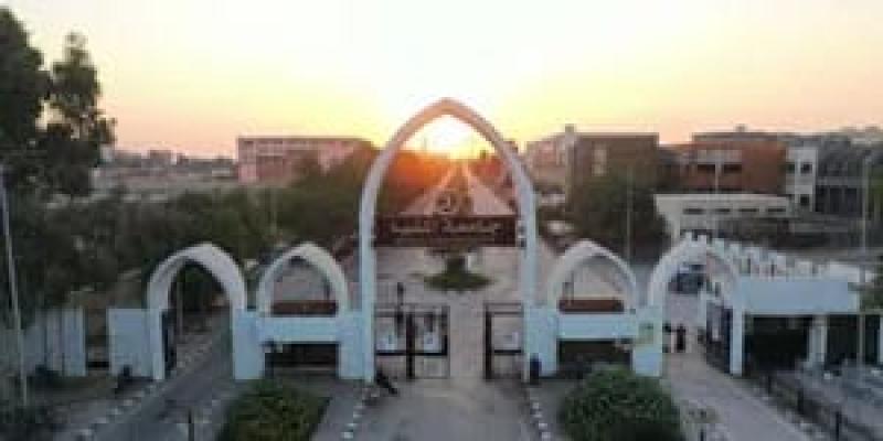 جامعة المنيا 