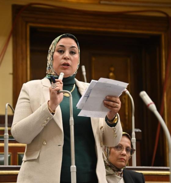 ولاء التمامى