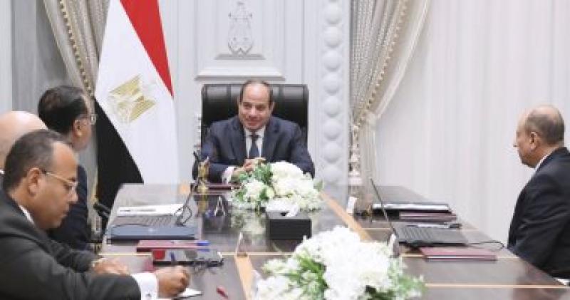 الرئيس السيسى خلال الاجتماع