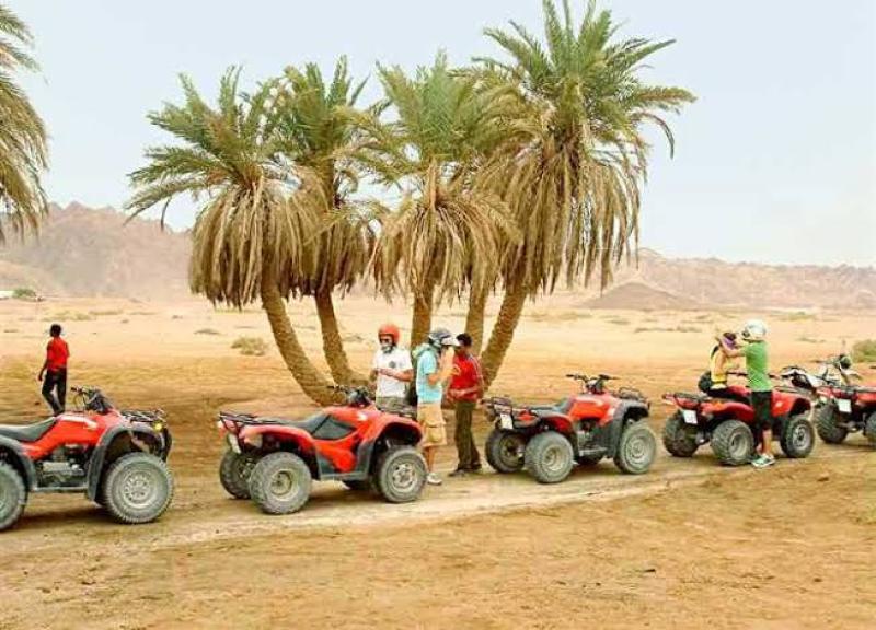 سفارى