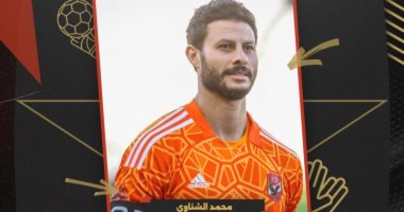 محمد الشناوى