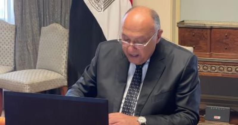 وزير الخارجية سامح شكرى