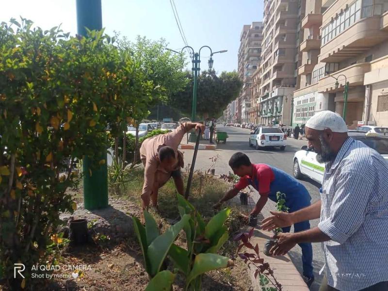 حملات نظافة وانارة