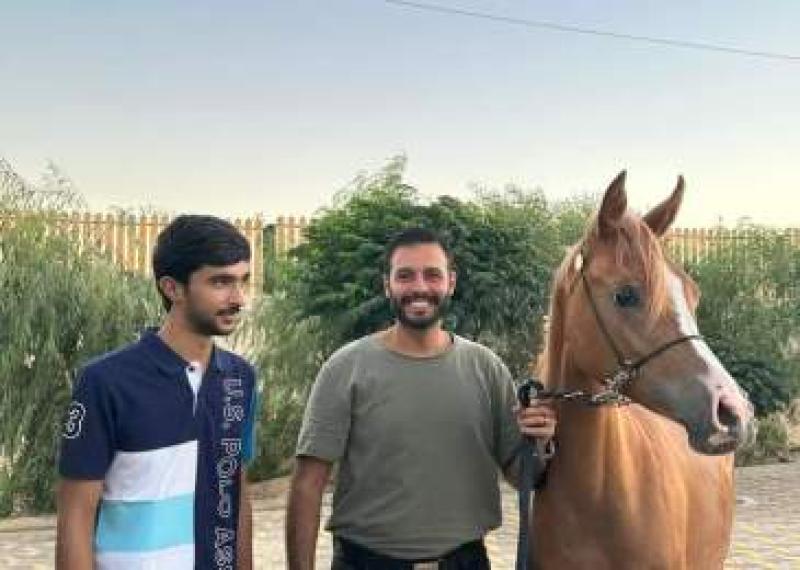 فروسية الاردن تكرم طبيب الرحمه للخيول