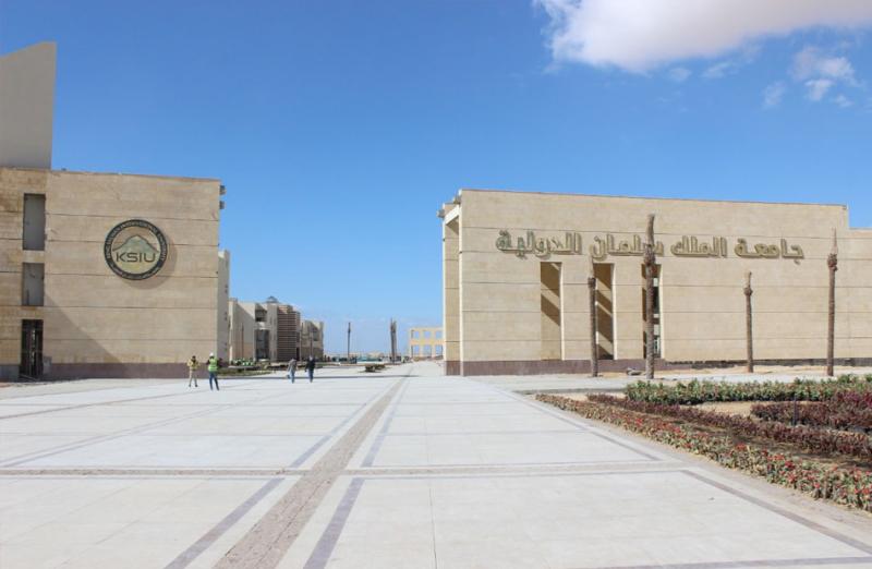 الجامعات الأهلية 