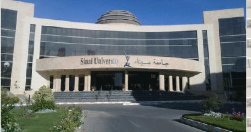 جامعة سيناء