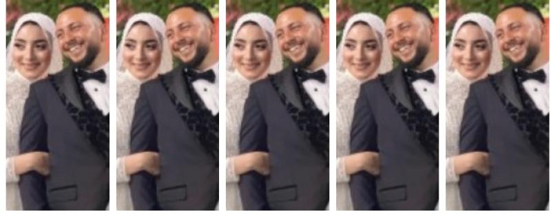 العروسان