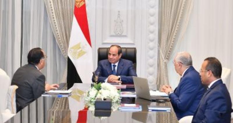 الرئيس السيسى خلال الاجتماع