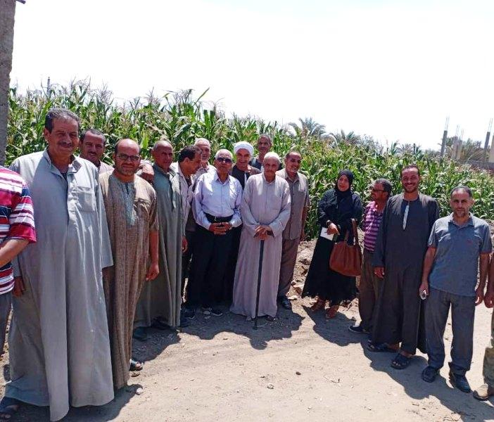 جابن من اليوم الحقلى 