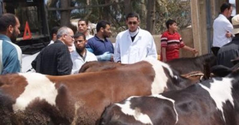 قافلة بيطرية 