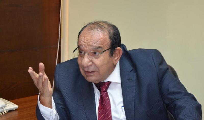 المهندس محمد عادل فتحي
