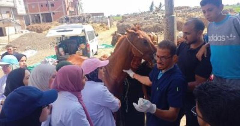 الزراعة تطلق قافلة بيطرية لعلاج مواشي صغار المربين مجانا