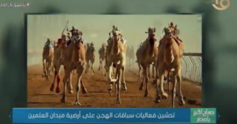 سباق الهجن