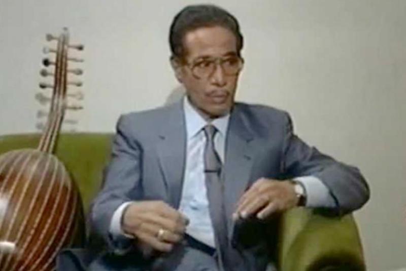محمد الموجى 