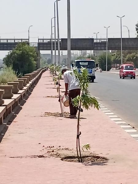 المبادرة الرئاسية للتشجير 