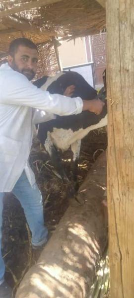 قافلة بيطرية 