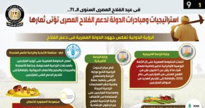 انفوجراف
