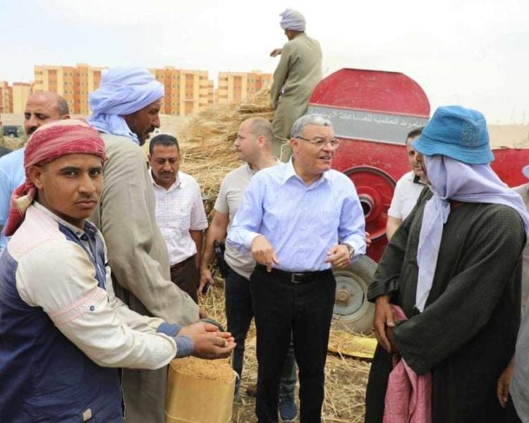 محافظ المنيا