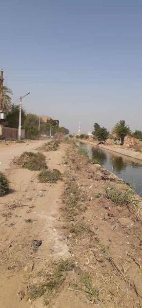 تطهير الترع