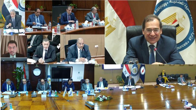 شركات البتو٦