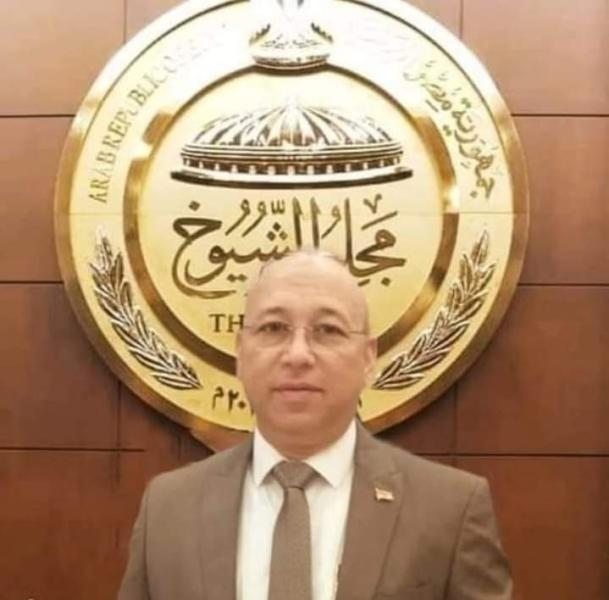 الدكتور النائب رياض إسماعيل 