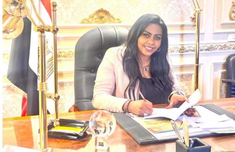 النائبة نيفين حمدى