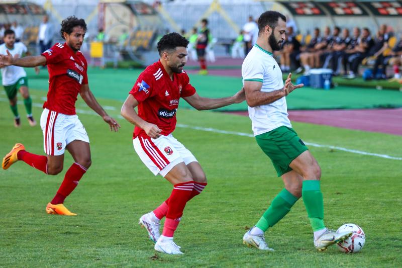 الفريق المصرى