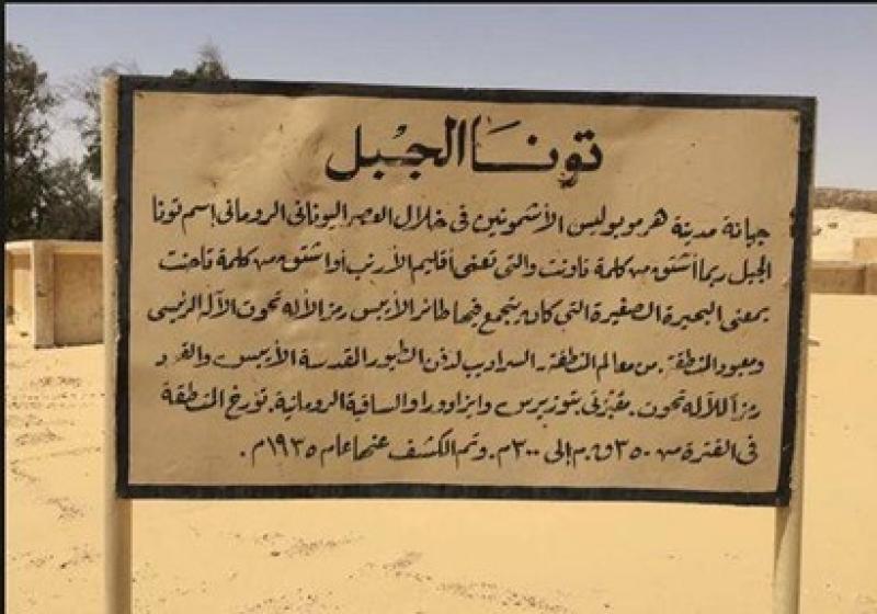 تونة الجبل