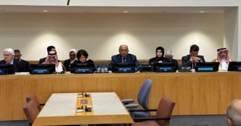 شكرى خلال الاجتماع الوزارى لدعم الاستجابة الإنسانية فى السودان