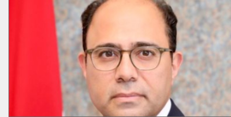 المتحدث الرسمي باسم الخارجية السفير أحمد أبو زيد