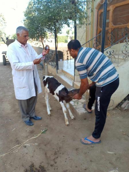 جانب من القافلة 