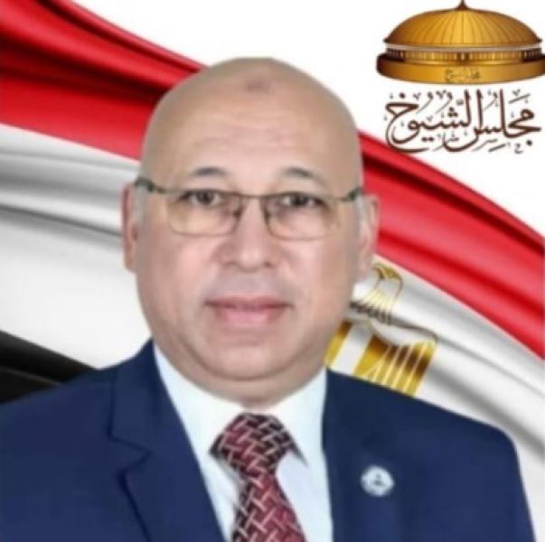 النائب الدكتور رياض اسماعيل