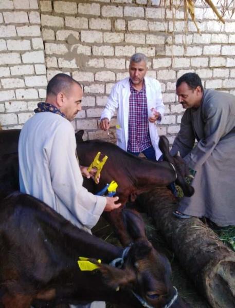  تحصين 268 ألف من رؤوس الماشية