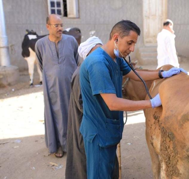 قافلة بيطرية علاجية مجانية بقرية نزلة النخل