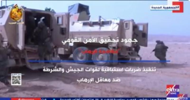 جهود الدولة لتحقيق الأمن القومى