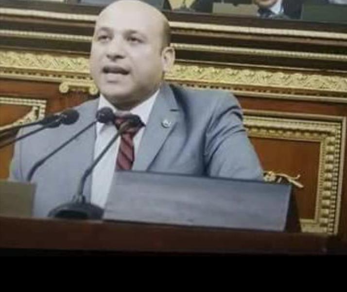 النائب هانى مرجان 