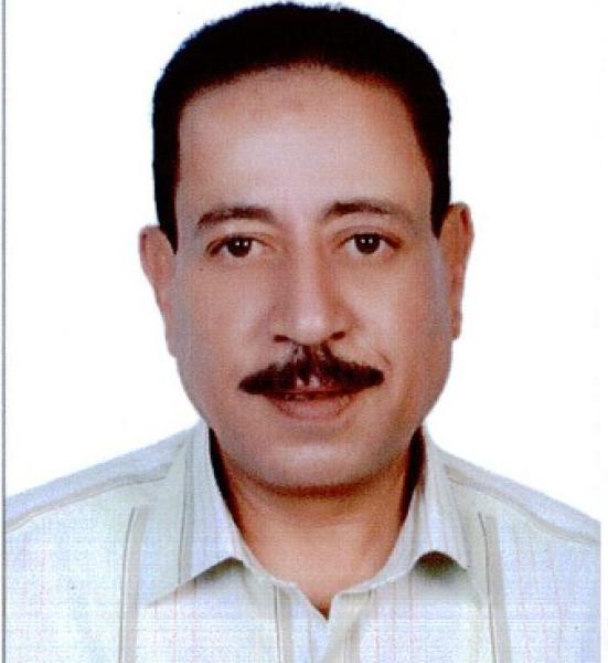 حسام حنفي