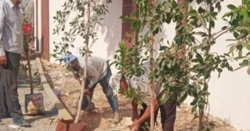 البيئة تبدأ تشجير شق الثعبان بالقاهرة